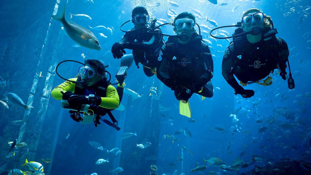 Experience the Waterworld through Scuba Diving in Dubai