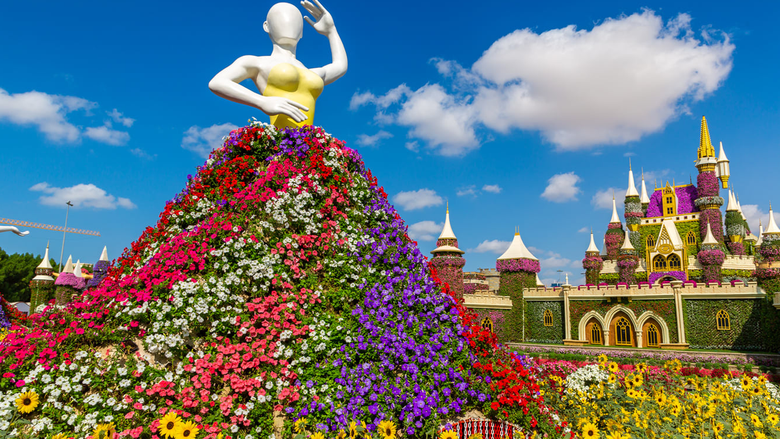 Dubai Miracle Garden - A floral wonderland, where beauty thrives